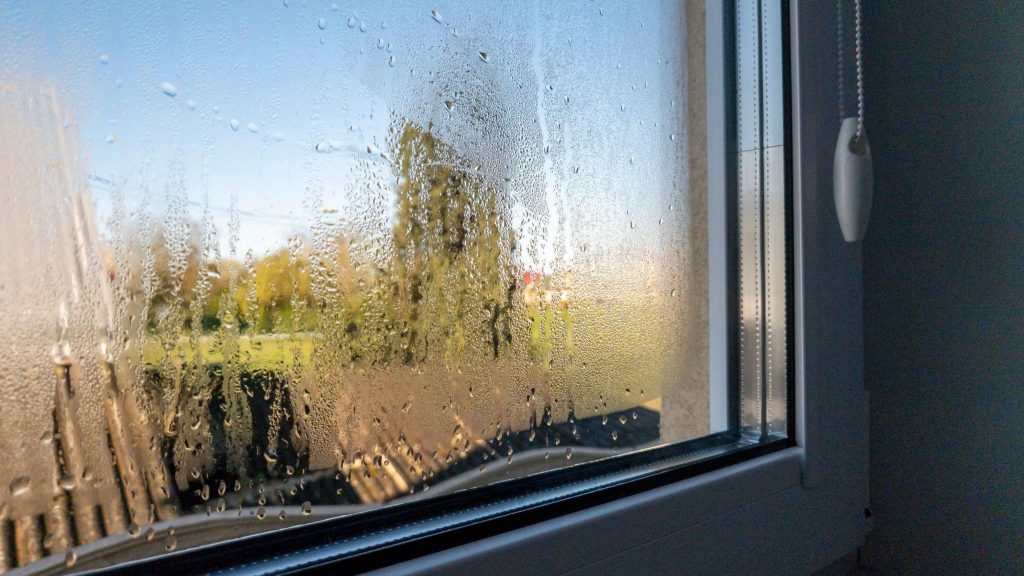 How to Stop Condensation on Windows in Winter (Simple Fixes) 62b041d0 Bbd2 11f0 A755 Ab35484afe82 1024x576
